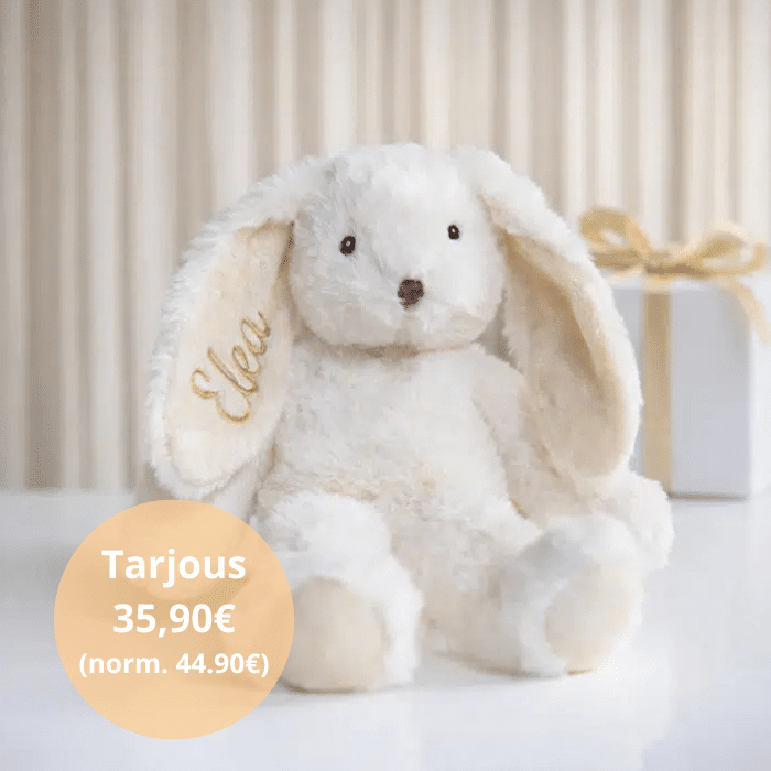 Pehmopupu nimellä, Teddykompaniet