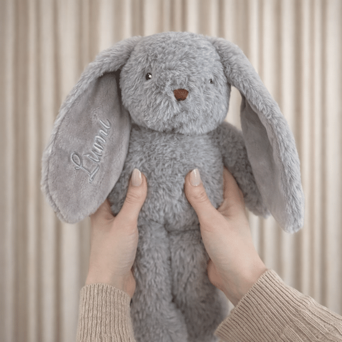 Pehmopupu nimellä, Teddykompaniet - Image 4