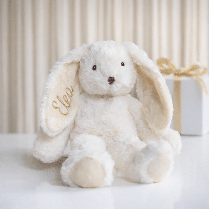 Pehmopupu nimellä, Teddykompaniet