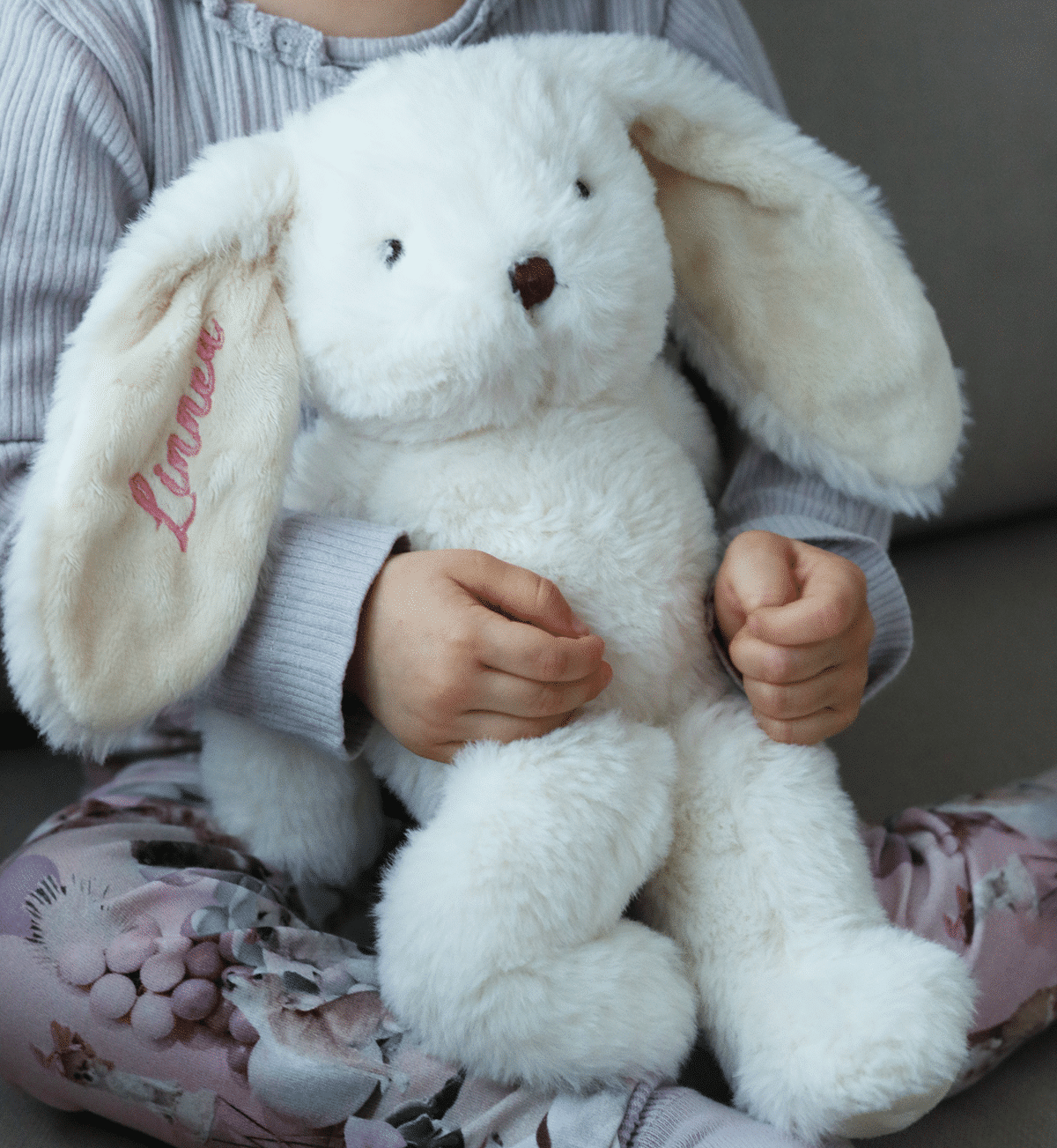 Pehmopupu nimellä, Teddykompaniet - Image 5