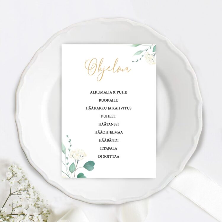 ohjelmakortti-häihin