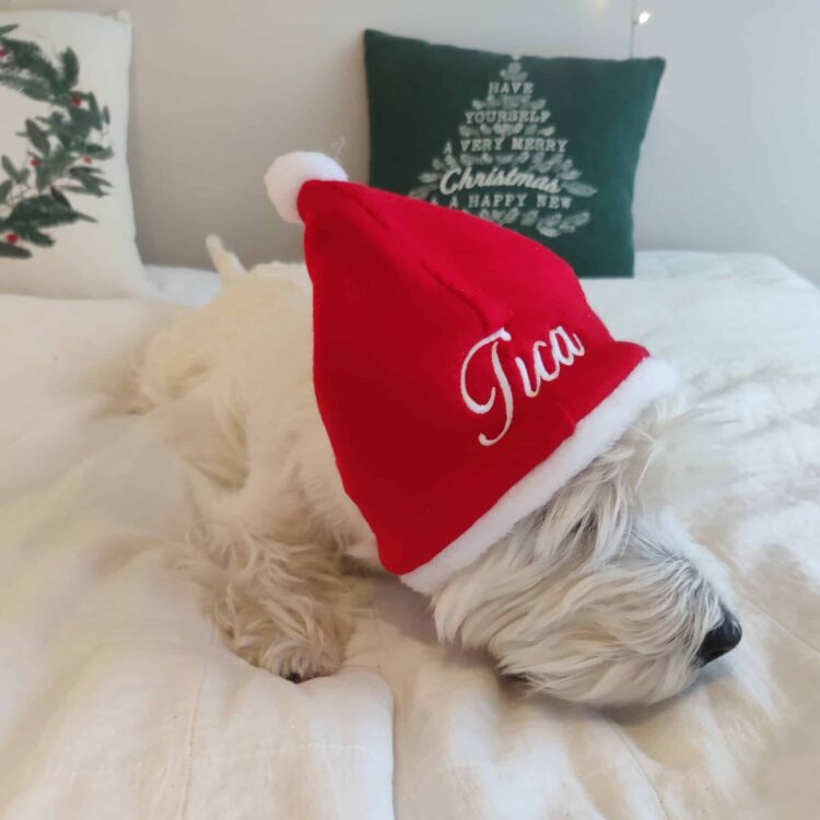 Koiran tonttulakki nimellä