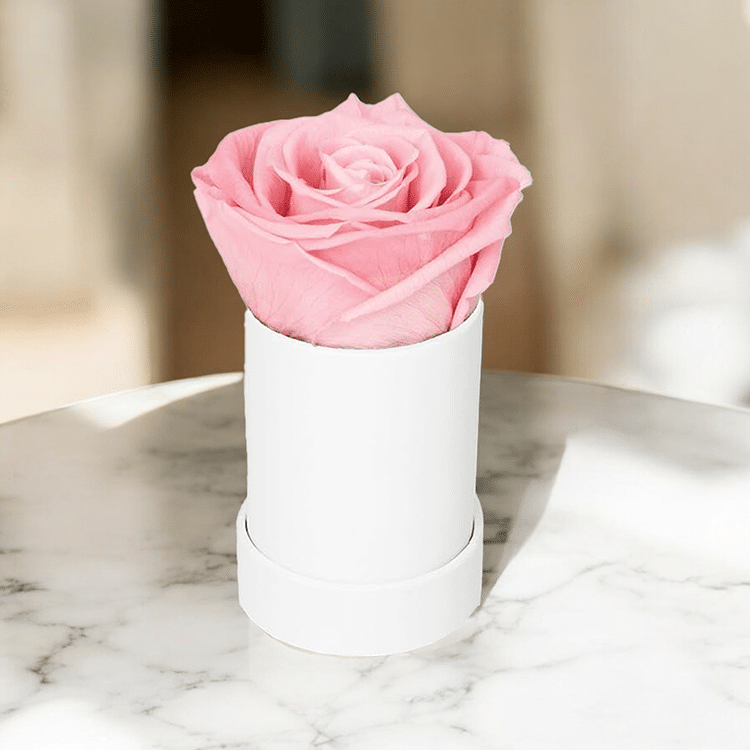 Infinity - Aito kestoruusu